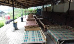 Batu Apung Alam Hijau, Destinasi Wisata Edukasi di Purwakarta - iTrip