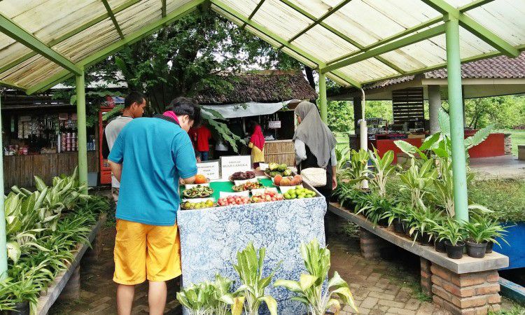 Penginapan & Toko Souvenir di Kawasan Wisata