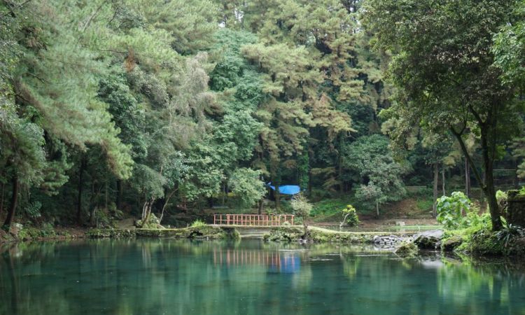 Rute & Harga Tiket Masuk Kawasan Telaga Remis