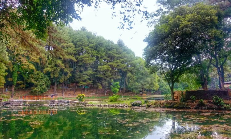 Rute Telaga Remis