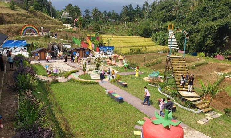 Sekilas Tentang Batu Apung Alam Hijau