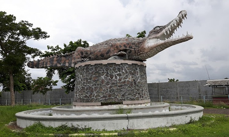 Liburan Seru ke Taman Buaya Indonesia Jaya