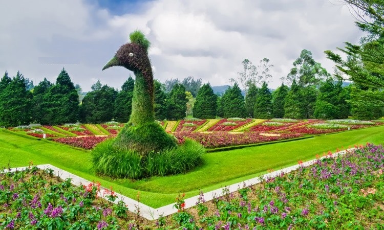 Taman Bunga Nusantara, Objek Wisata Kekinian di Cianjur