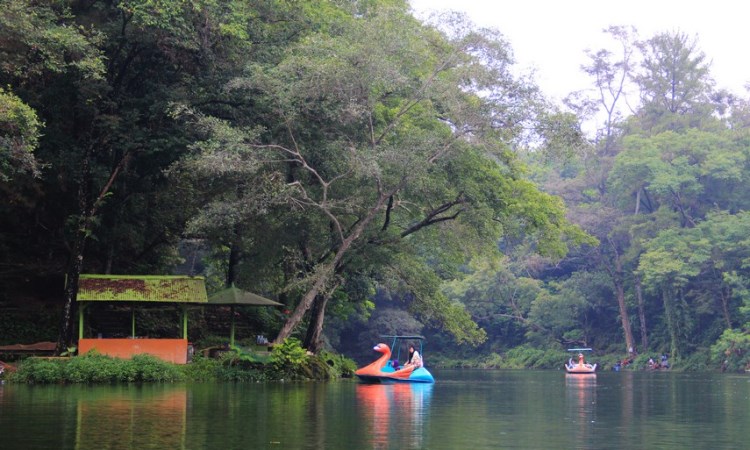 Animasi Wisata Alam Talaga Remis