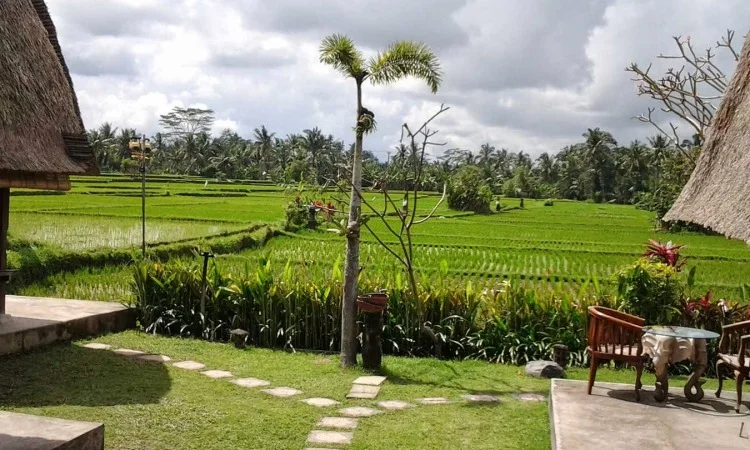 Ubud, Bali