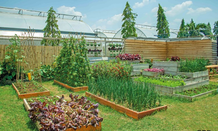 Fasilitas yang Tersedia di Urban Farming Purwakarta