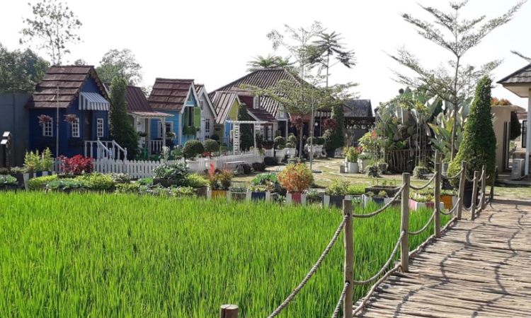 Harga Tiket Masuk Urban Farming