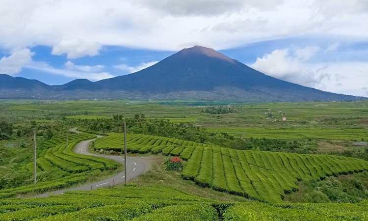 35 Tempat Wisata di Jambi Terbaru & Lagi Hits Dikunjungi