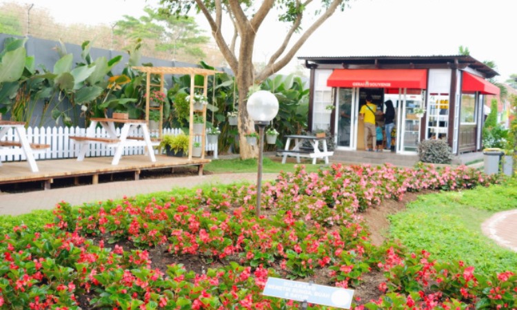 Rute Menuju Kawasan Wisata Urban Farming Center