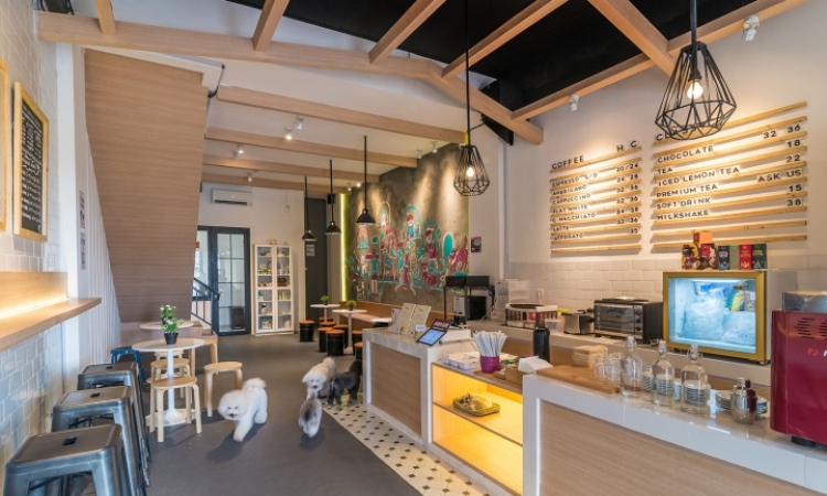 The Barkbershop Pet Grooming & Café