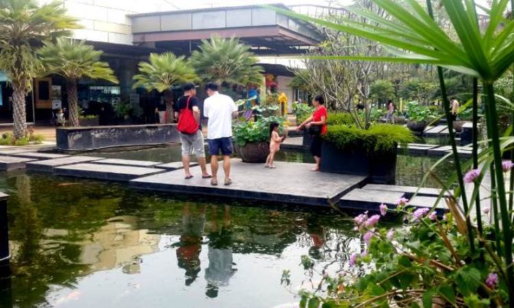 Tempat Wisata The Breeze