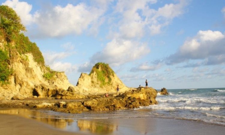 Wisata Flora dan Fauna di Pantai Karang Nini