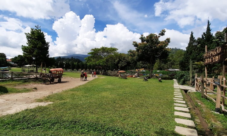 Kegiatan De Ranch Lembang