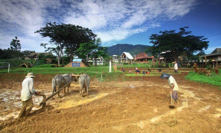 Kegiatan Menarik Dilakukan di Kampung Bambu
