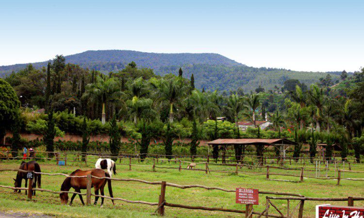 Rute Menuju Lokasi De Ranch Lembang