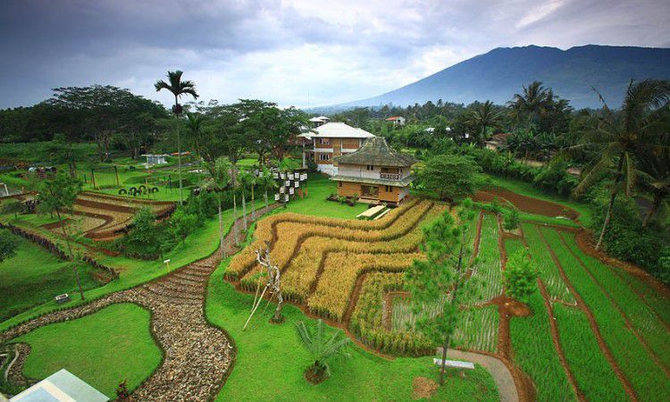 Wisata Edukasi Seru Desa Kampung Bambu Bogor