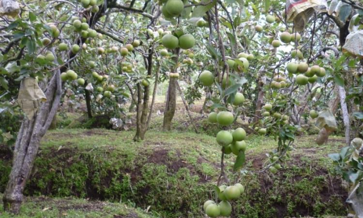 33 Tempat Wisata di Batu Malang yang Paling Hits