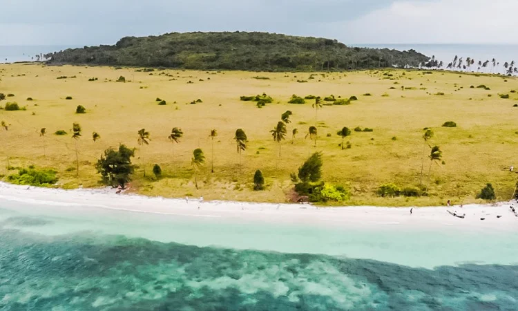 Pulau Liwutongkidi