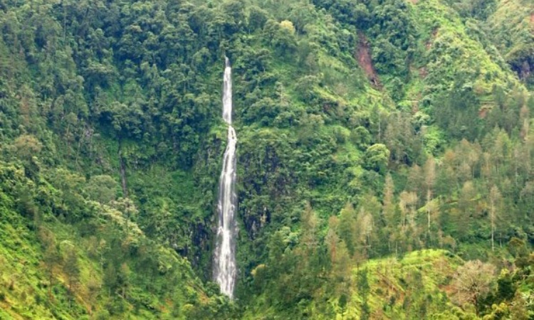 Air Terjun Pringgodani