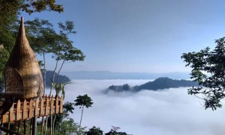 Puncak Bangku Rancah