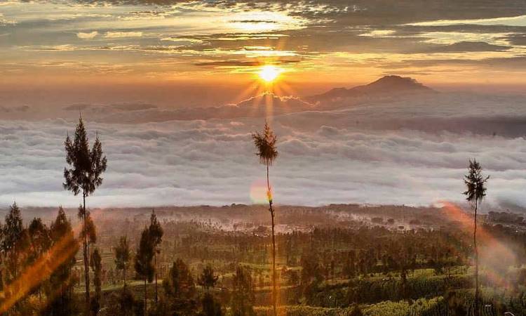 Sewu Ngadirejo