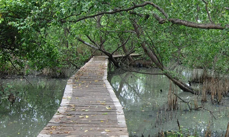Tempat Wisata di Jakarta Utara, Suaka Margasatwa Muara Angke