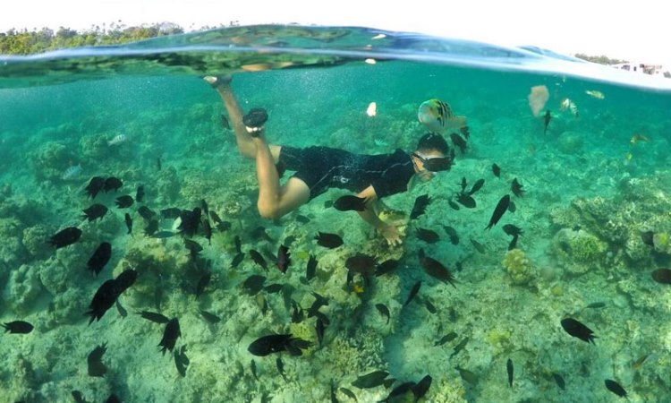 Aktivitas di Taman Laut Bunaken