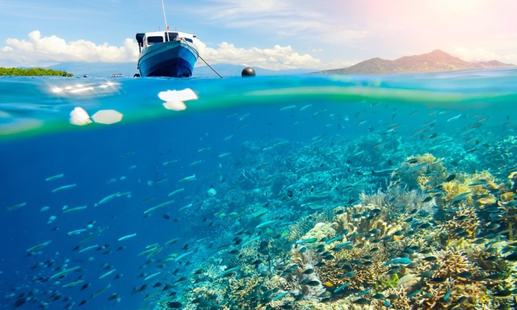 Fasilitas Taman Nasional Bunaken