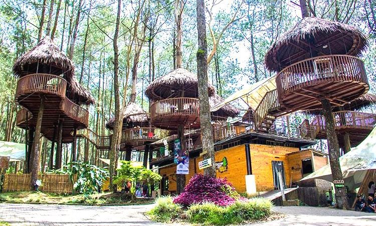 Fasilitas Taman Wisata Kopeng
