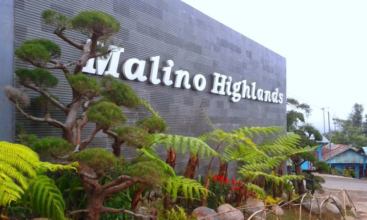 Harga Tiket Malino Highland