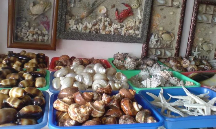 Kerajinan Cangkang Kerang