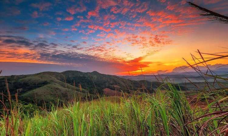 Biaya ke Bukit Teletubbies