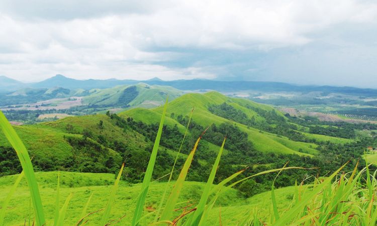 Pesona Keindahan Alam Bukit Telang di Kota Pelaihari yang Menawan Pesona Keindahan Alam Bukit Telang di Kota Pelaihari yang Menawan