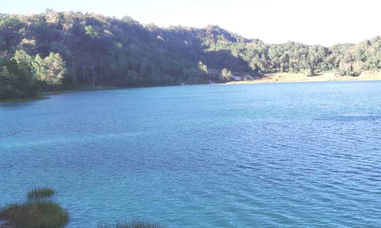 Daya Tarik Danau Linow