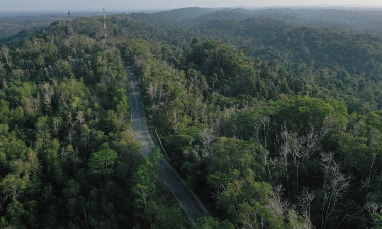 Daya Tarik Lain Bukit Soeharto