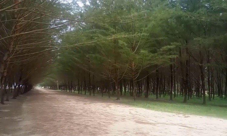 Daya Tarik Pantai Lamaru