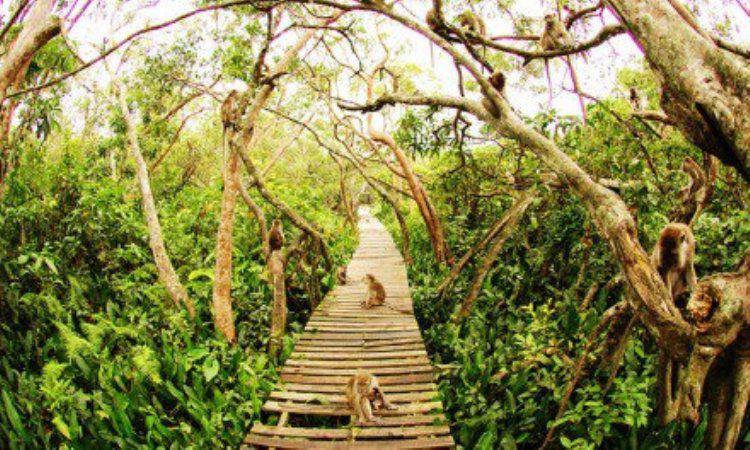 Daya Tarik Pulau Kembang