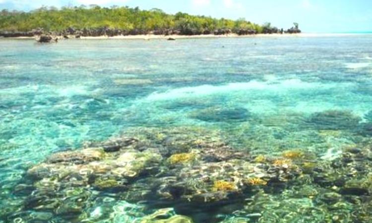 Daya Tarik Pulau Maratua