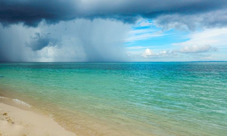 Daya Tarik dari Pulau Sangalaki