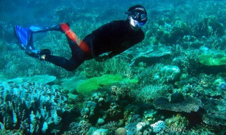 Kegiatan di Pulau Labengki