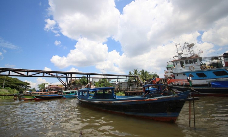 Pulau Kembang, Pulau Unik Rumah Para Kera di Sungai Barito Pulau Kembang, Pulau Unik Rumah Para Kera di Sungai Barito