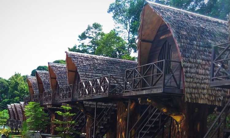 Rumah Kayu di Ladaya