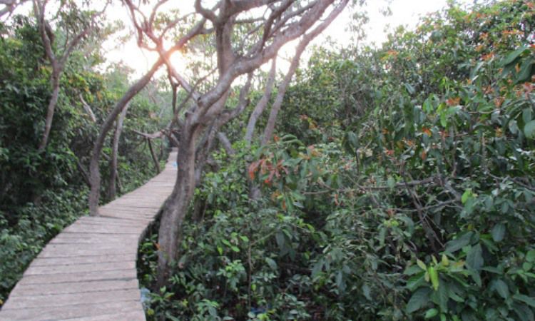 Wisata Pulau Cantik