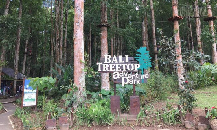 Bali TreeTop Adventure Park