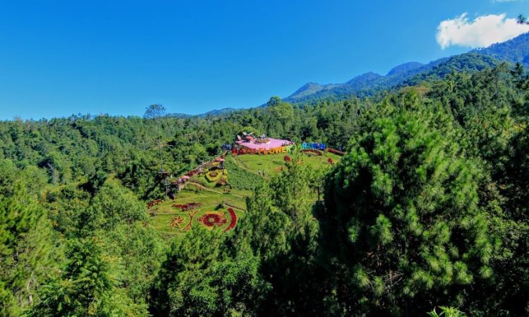 Daya Tarik Batu Flower Garden
