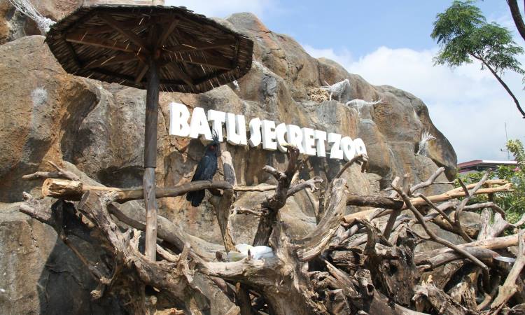 Daya Tarik Batu Secret Zoo