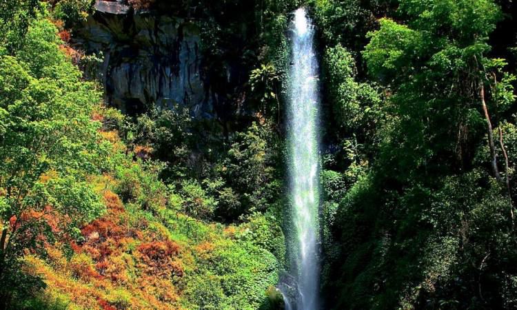 Daya Tarik dari Coban Rais