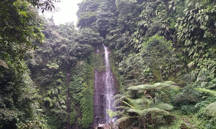 Harga Tiket Curug Nangka