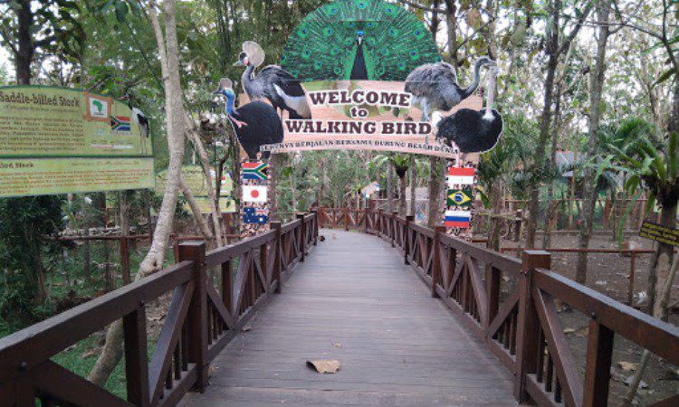 Harga Tiket Masuk Eco Green Park