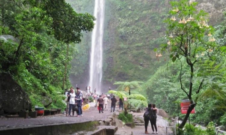 Kegiatan di Coban Rondo